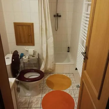 In Jachymov/erzgebirge 1658 Apartamento *